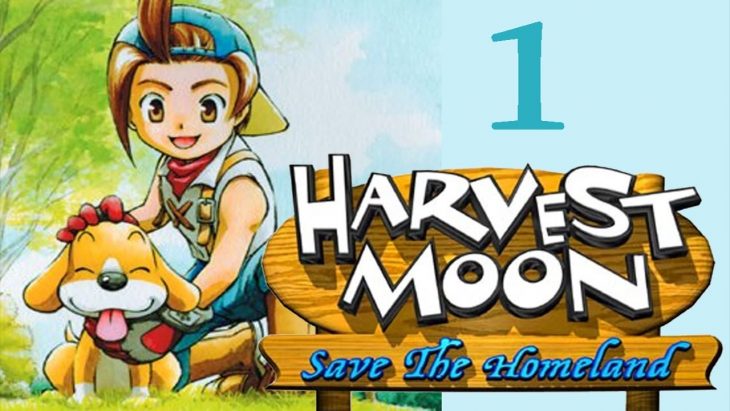 Harvest Moon Save The Homeland